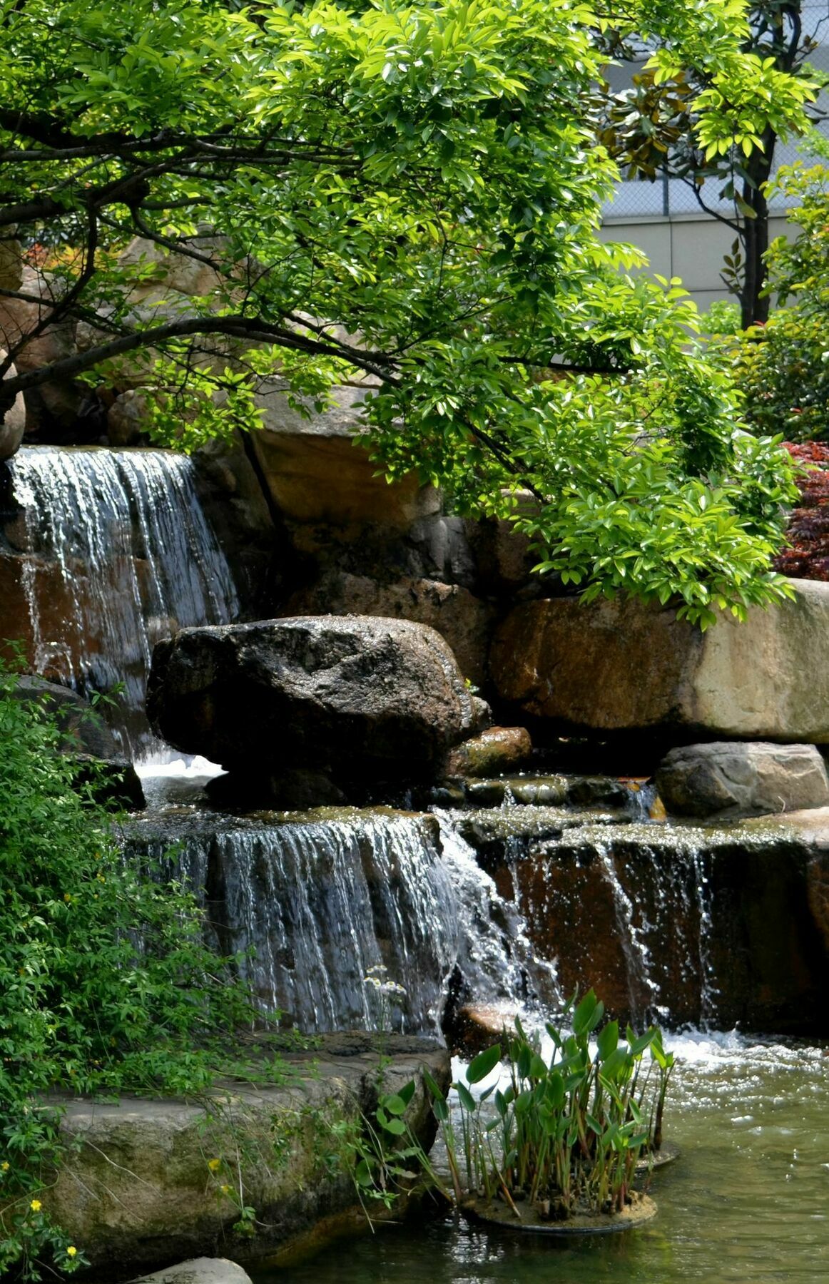 Millennium Hotel Wuxi Βούξι Εξωτερικό φωτογραφία